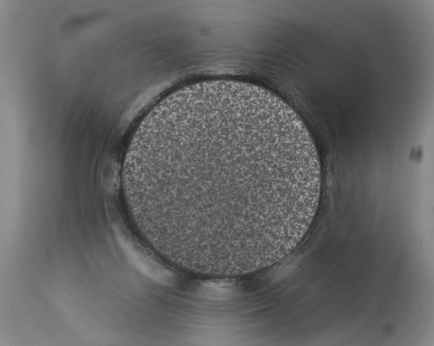 X0000113950164200911061311