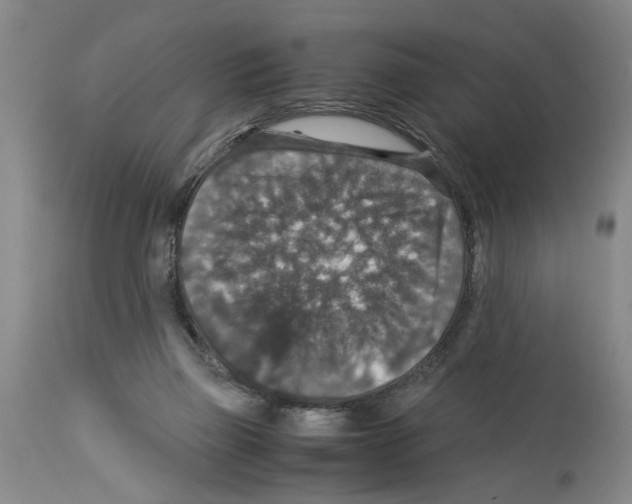 X0000113950165200911061311