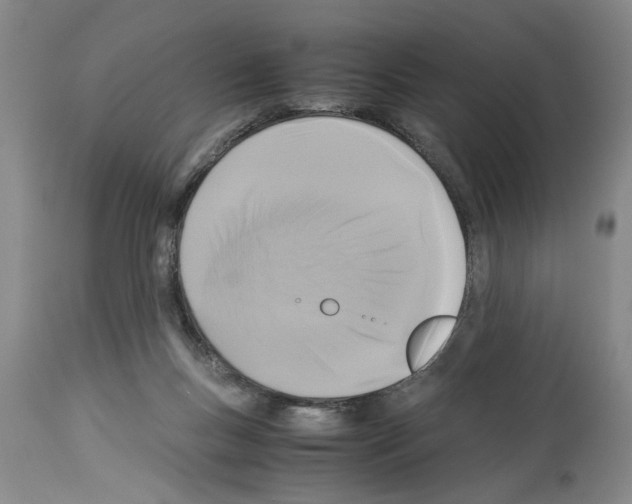X0000113950167200911061311