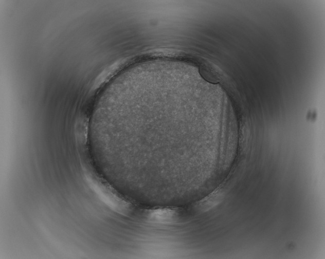 X0000113950168200911061311