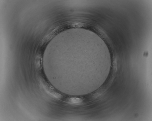 X0000113950169200911061311