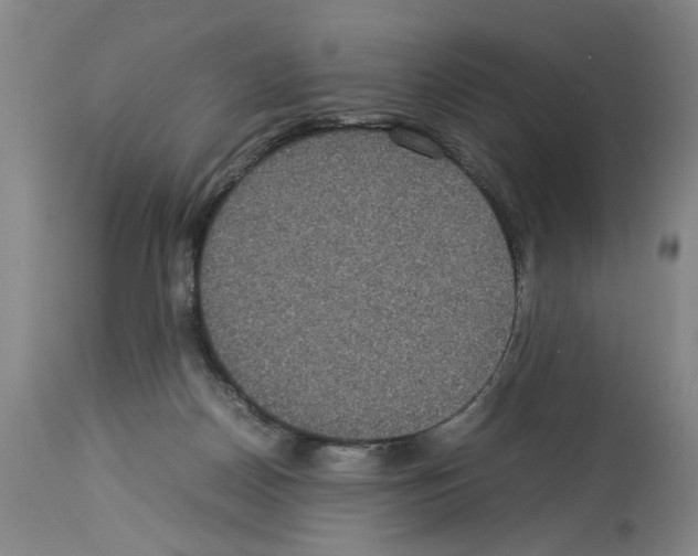 X0000113950170200911061311