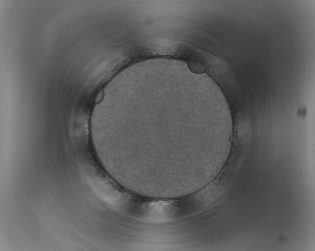 X0000113950172200911061312