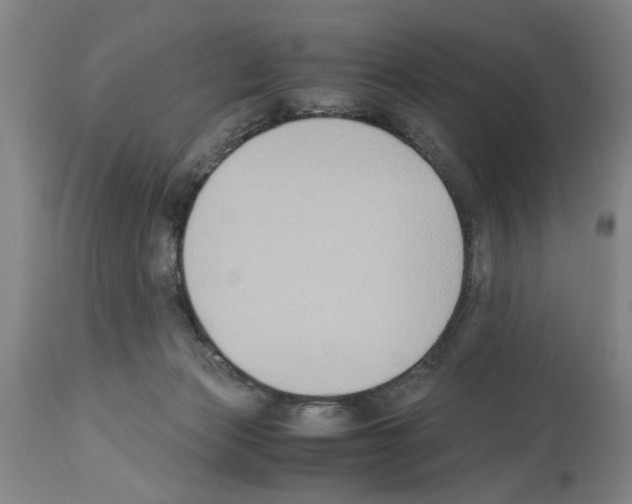 X0000113950173200911061312