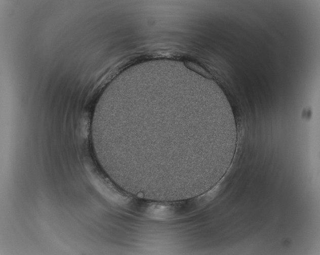 X0000113950174200911061312
