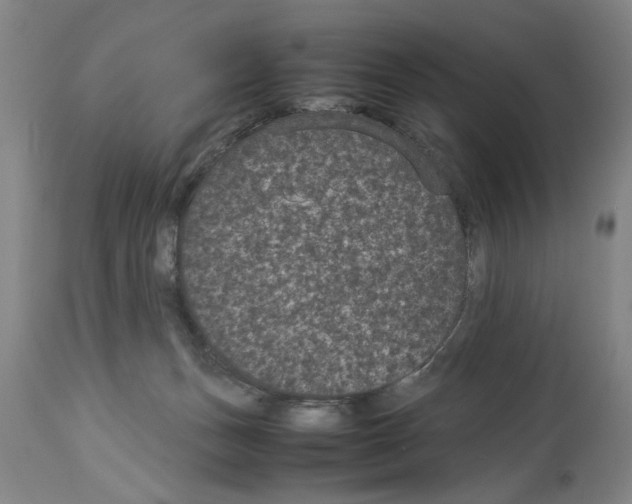 X0000113950175200911061312