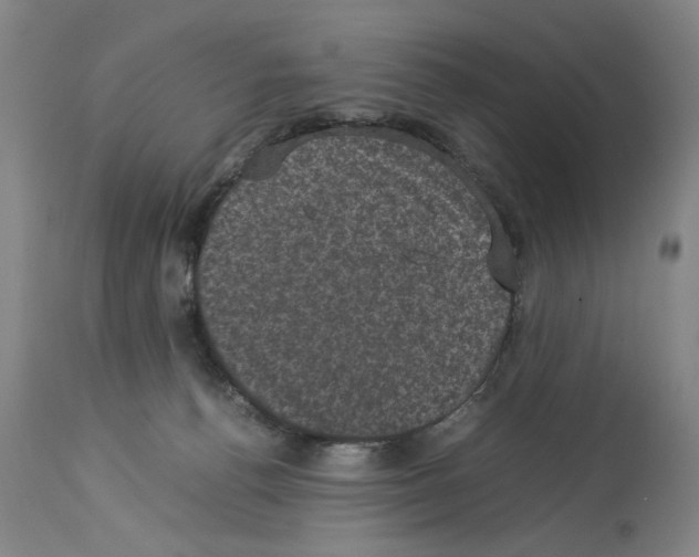 X0000113950176200911061312