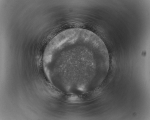 X0000113950177200911061312