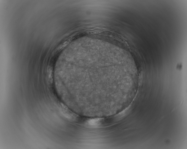 X0000113950178200911061312