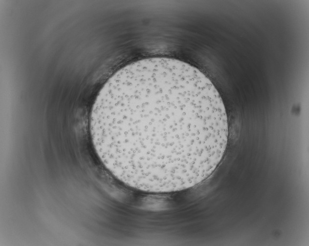 X0000113950179200911061312