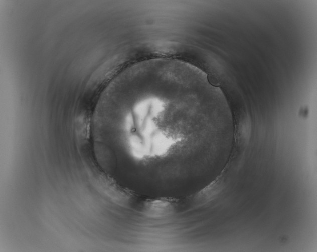 X0000113950180200911061312