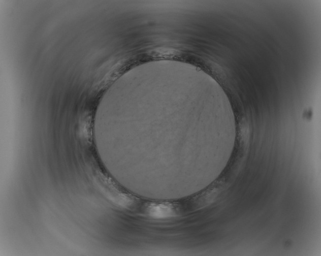 X0000113950181200911061312