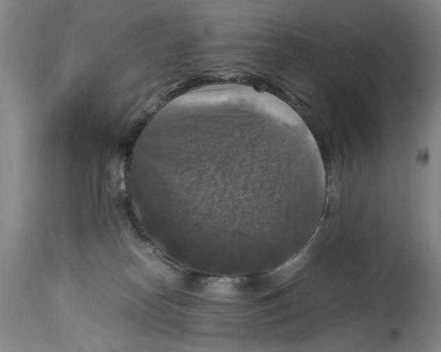X0000113950182200911061312