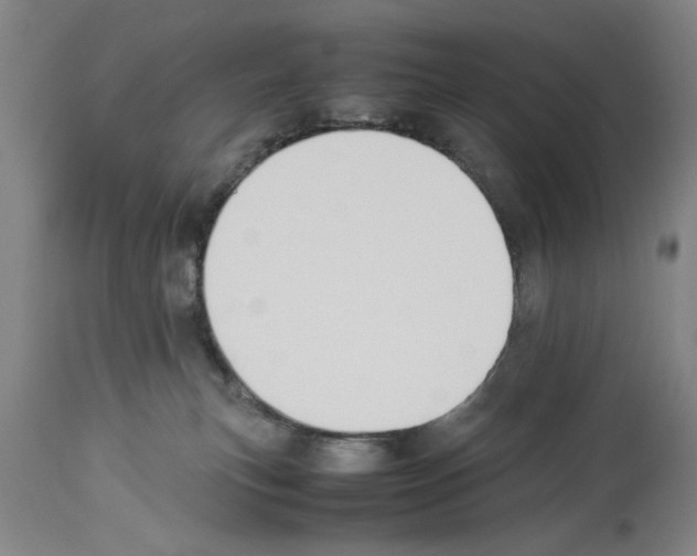 X0000113950183200911061312