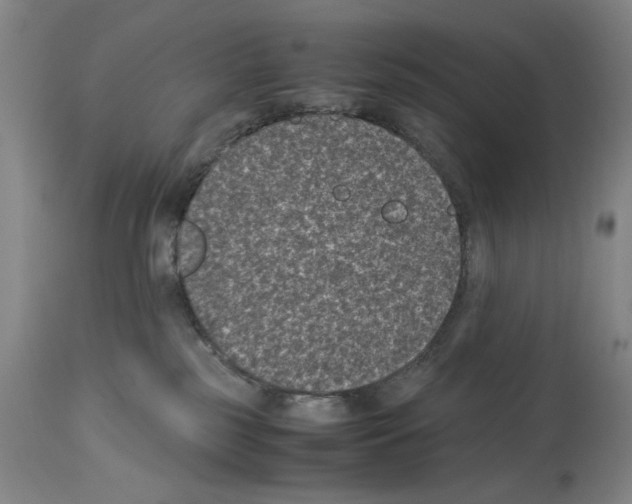 X0000113950185200911061312