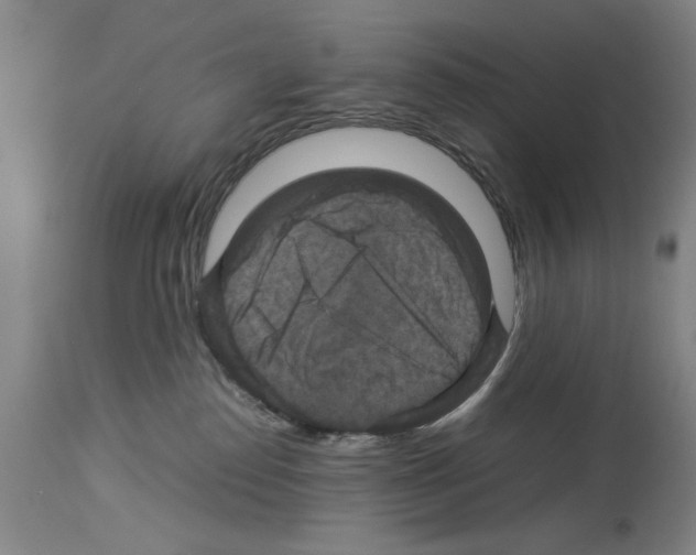 X0000113950186200911061312