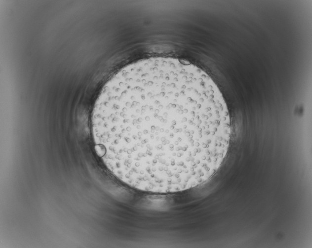 X0000113950187200911061312
