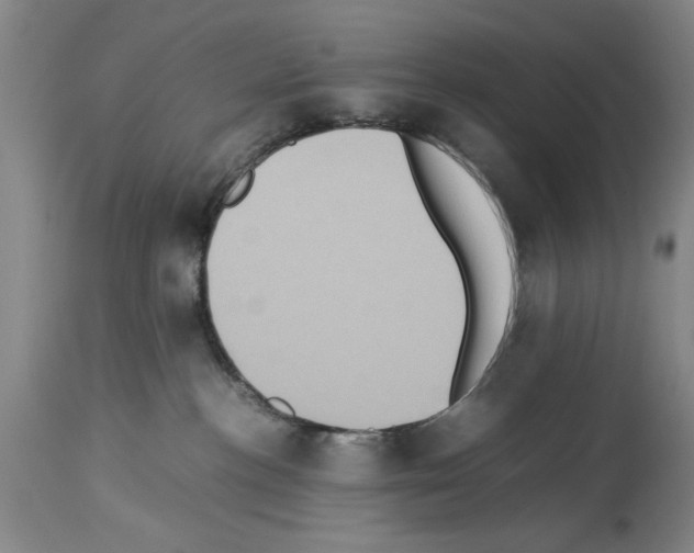 X0000113950188200911061312
