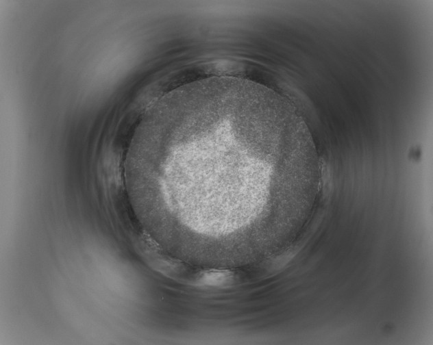 X0000113950189200911061312