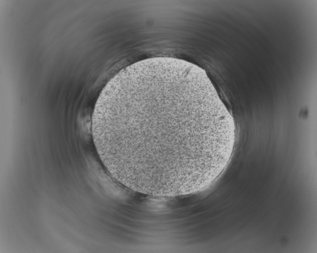 X0000113950190200911061312