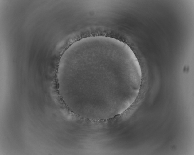 X0000113950192200911061312