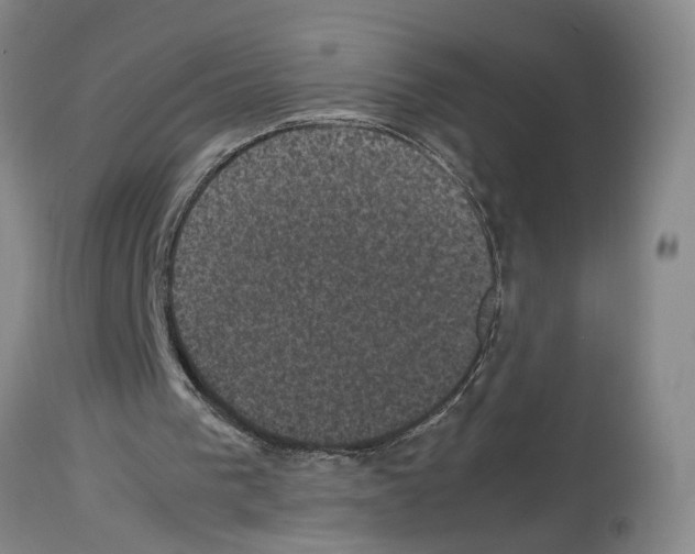 X0000113950193200911061311