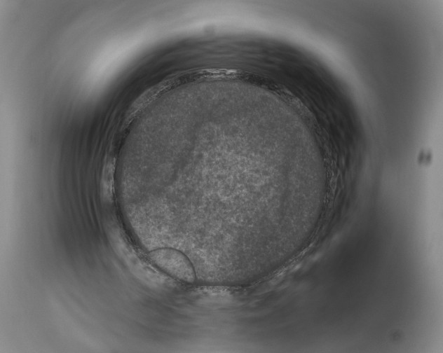 X0000113950194200911061311