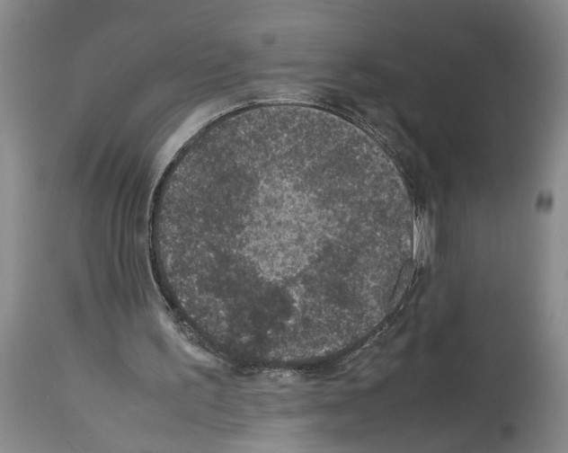 X0000113950195200911061311