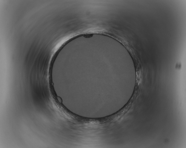 X0000113950196200911061311