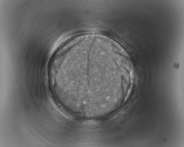 X0000113950198200911061311
