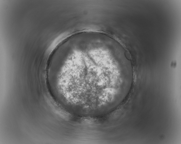 X0000113950199200911061311