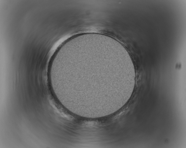 X0000113950200200911061311