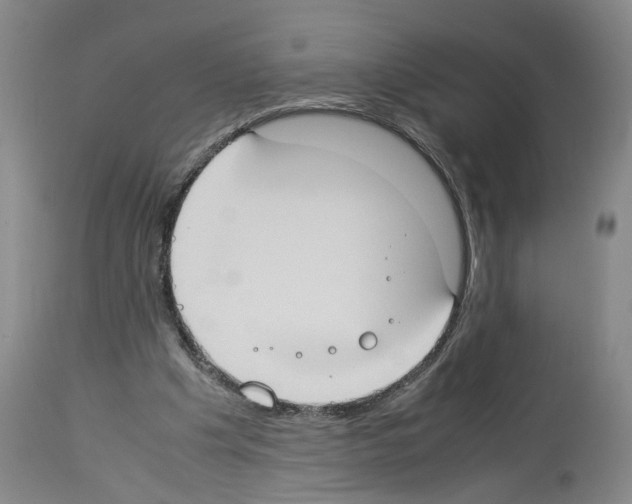 X0000113950201200911061311