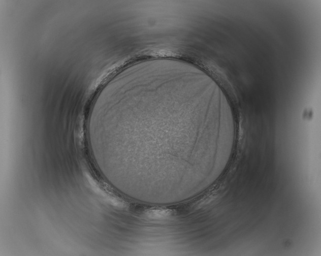 X0000113950202200911061311