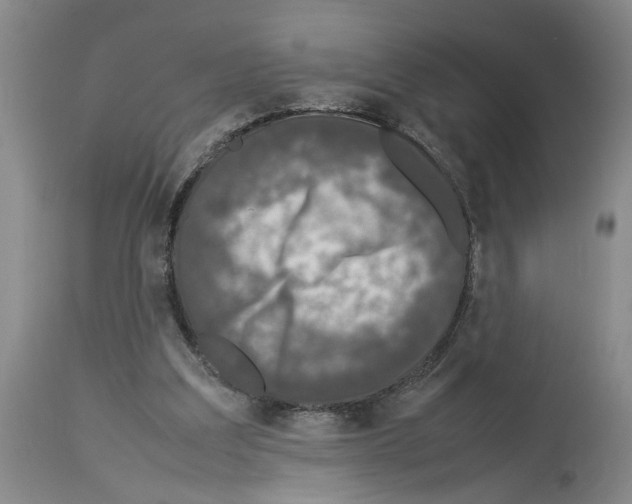 X0000113950203200911061311