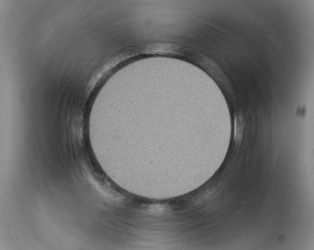 X0000113950204200911061311