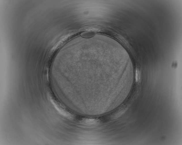 X0000113950205200911061311