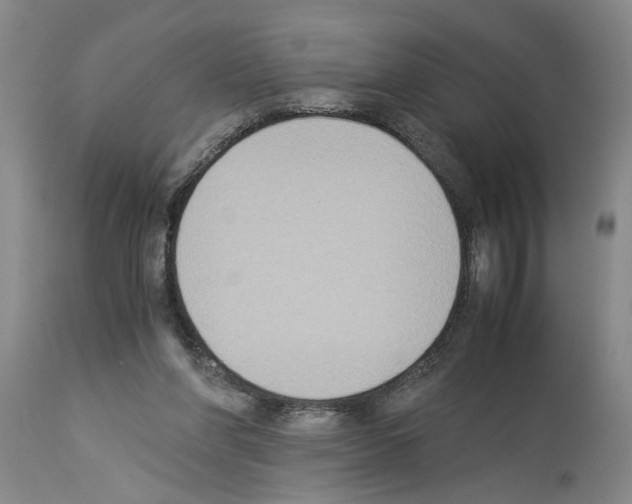 X0000113950206200911061311