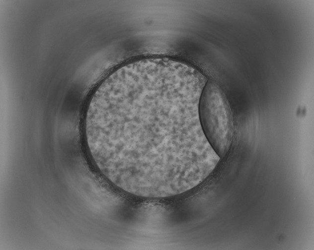 X0000113950207200911061311