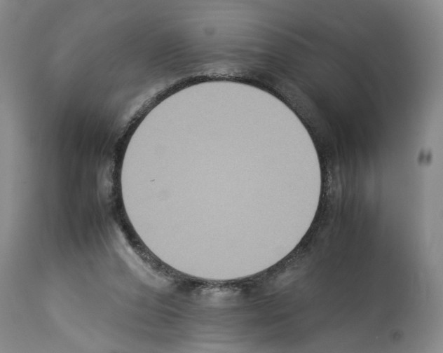 X0000113950208200911061311