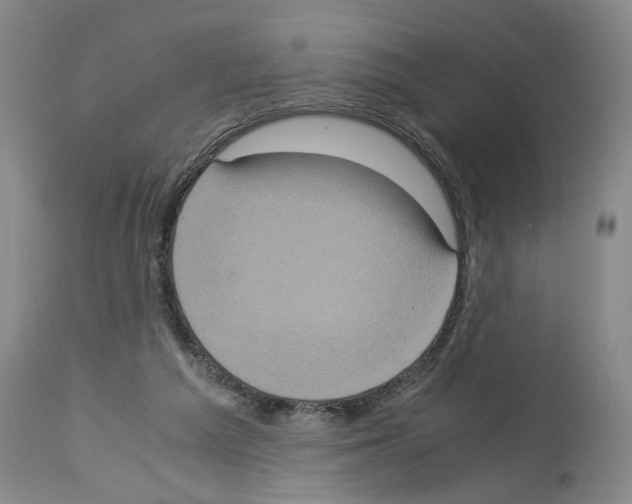 X0000113950209200911061311
