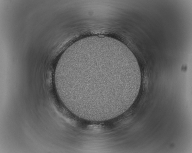 X0000113950211200911061311