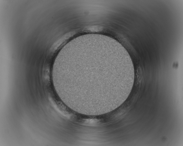 X0000113950212200911061311