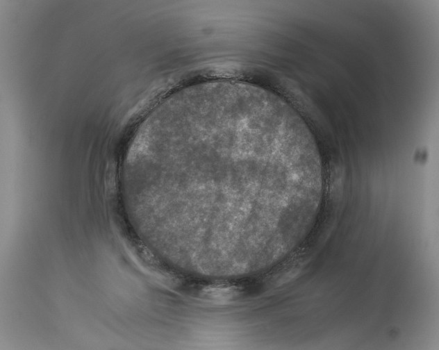 X0000113950213200911061311