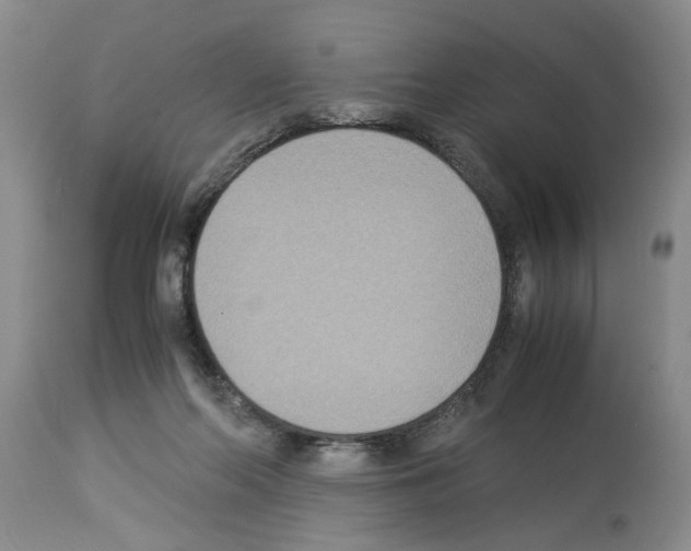 X0000113950214200911061311