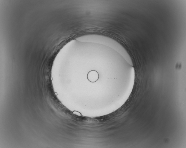 X0000113950215200911061311