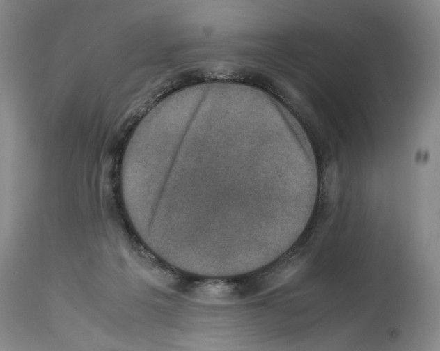 X0000113950217200911061311