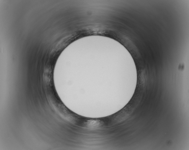 X0000113950218200911061311