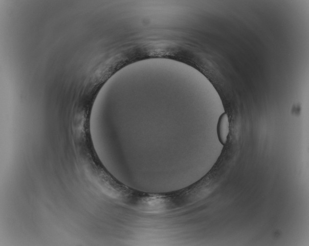 X0000113950219200911061311