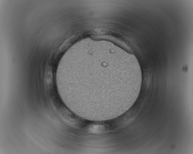 X0000113950220200911061311